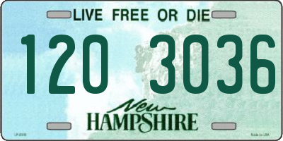 NH license plate 1203036