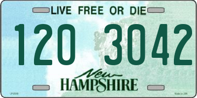 NH license plate 1203042