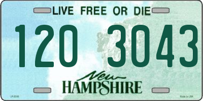 NH license plate 1203043