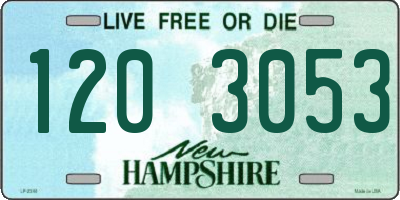 NH license plate 1203053