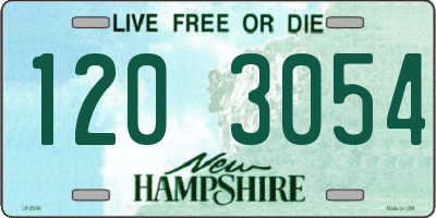 NH license plate 1203054