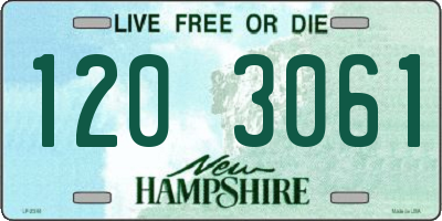 NH license plate 1203061