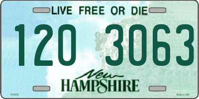 NH license plate 1203063