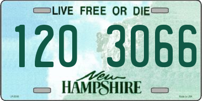 NH license plate 1203066