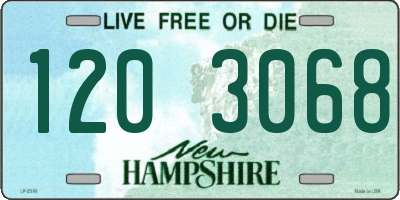 NH license plate 1203068