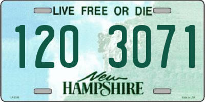 NH license plate 1203071