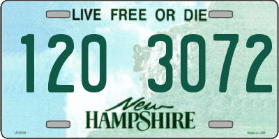 NH license plate 1203072