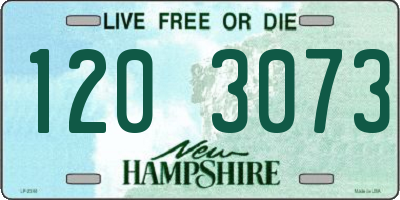NH license plate 1203073