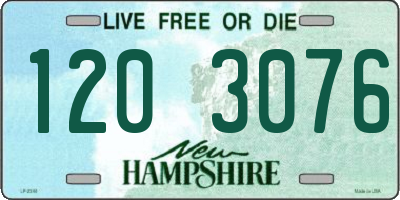 NH license plate 1203076