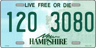 NH license plate 1203080