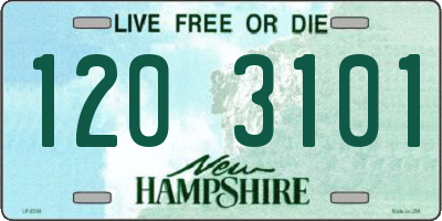NH license plate 1203101