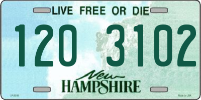NH license plate 1203102