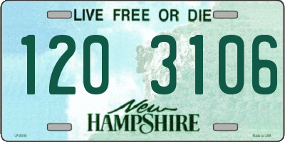 NH license plate 1203106