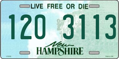 NH license plate 1203113