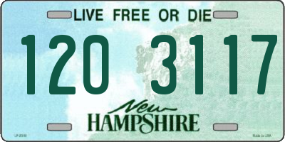 NH license plate 1203117
