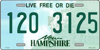 NH license plate 1203125