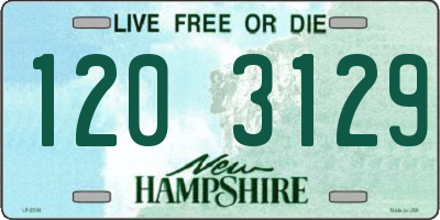 NH license plate 1203129