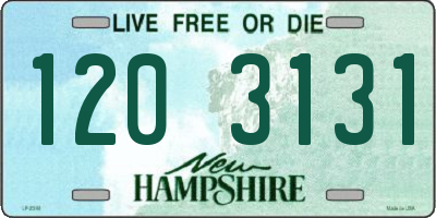 NH license plate 1203131
