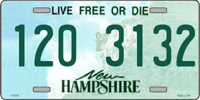 NH license plate 1203132