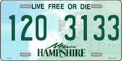 NH license plate 1203133