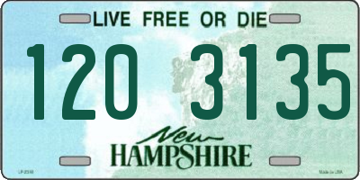 NH license plate 1203135
