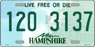 NH license plate 1203137