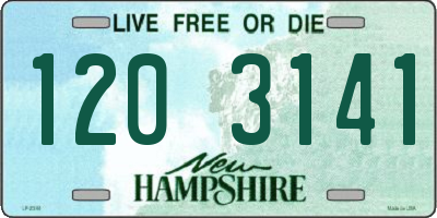 NH license plate 1203141