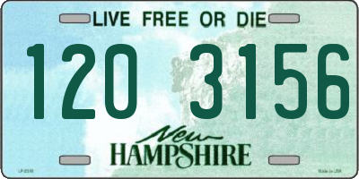NH license plate 1203156