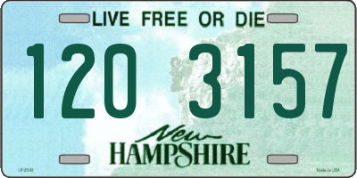 NH license plate 1203157