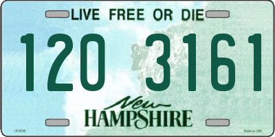 NH license plate 1203161