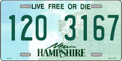 NH license plate 1203167