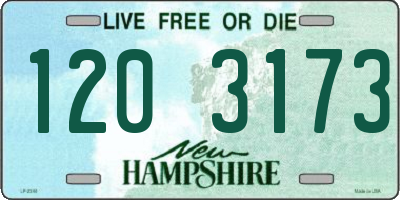 NH license plate 1203173