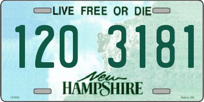 NH license plate 1203181