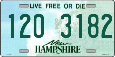 NH license plate 1203182