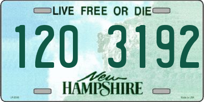 NH license plate 1203192
