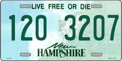 NH license plate 1203207