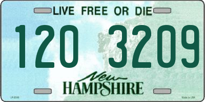 NH license plate 1203209