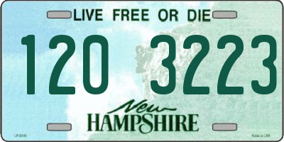 NH license plate 1203223