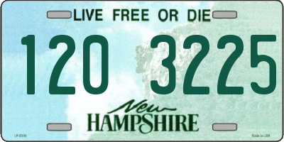 NH license plate 1203225