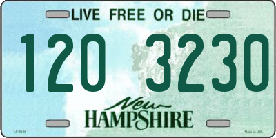 NH license plate 1203230