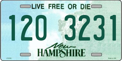 NH license plate 1203231