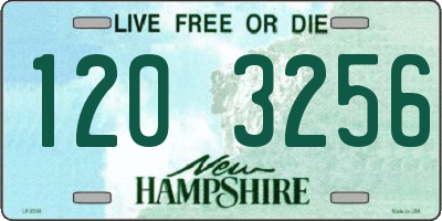 NH license plate 1203256