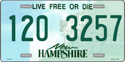 NH license plate 1203257