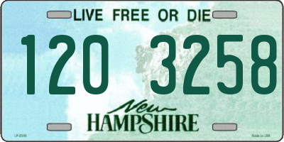 NH license plate 1203258