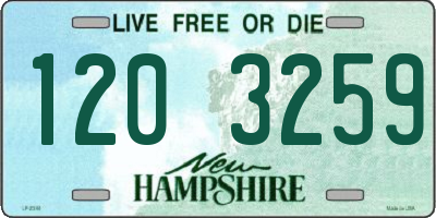 NH license plate 1203259