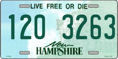NH license plate 1203263