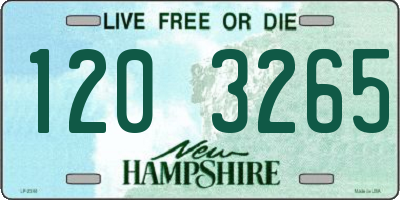NH license plate 1203265
