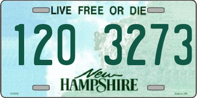 NH license plate 1203273