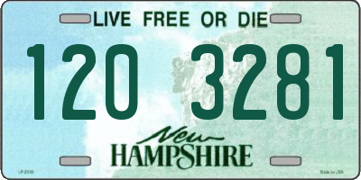 NH license plate 1203281