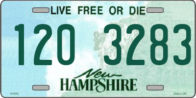NH license plate 1203283